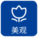 美观